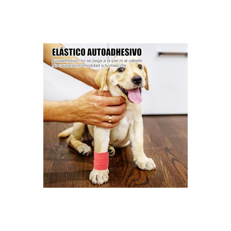 Vendas Autoadhesivas Elástico No Tejido - 12 Roll Venda Elastica