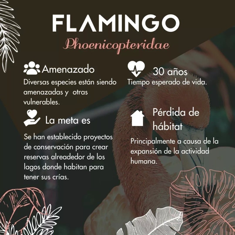 Vidamía Jabón Artesanal Med Pale Ale Vegano Antioxidante