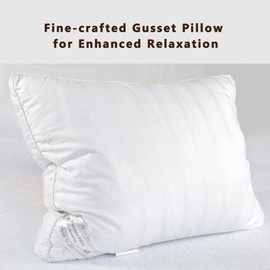 Duck Duck Goose Hypo-Allergenic Cotton Down Alternative White Microfiber Pillow, Queen - 2 Pack