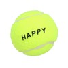AB Tools 4PK Small Mini Interactive Tennis Ball Dog Play