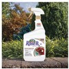 Captain Jack's Rose Rx 4-in-1 RTU 32oz Fungicide Insecticide Miticide