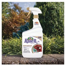 Captain Jack's Rose Rx 4-in-1 RTU 32oz Fungicide Insecticide Miticide