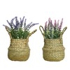 Decoris Everlands Polyethylene Lavender, 16 cm Diameter, 27 cm Height,