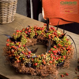 Flowerbox Oasis Floral Foam Biolit Ring Diameter 17 cm Pack of 6