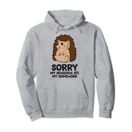 Sorry My Hedgehog Ate My Homework Kids School Hedgehog Pullover Hoodie