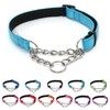 LOS ANDES Dog Choke Collar Martingale Collar with Limited Chain