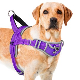 ADVENTUREMORE Dog Harness for Medium Dogs No Pull, Sport Dog Halter Harness Adjustable Reflective Dog Vest Escape Proof Dog Harness with Easy Control Front Clip Handle for Training Walking M Purple