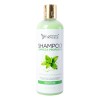 Kit Keratina Marroquí Silver 1l, Shampoo Lp 500 Ml