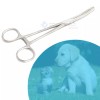 ODM FERGUSON ANGIOTRIBE Forceps Straight / Curved Surgical Veterinary instruments
