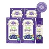 hallberry [Half Club] Whole Berry Blueberry Puree 4 boxes /