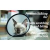 Cat Cone, Pet Elizabethan Collar Adjustable Lightweight Anti Lick Bite