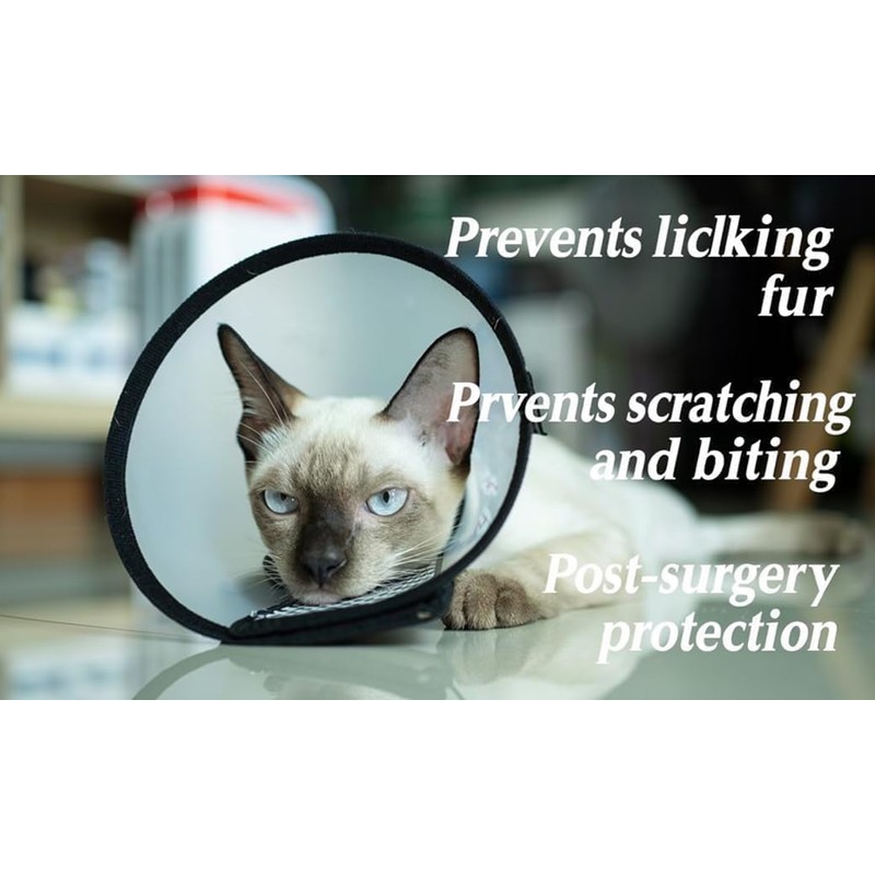 Cat Cone, Pet Elizabethan Collar Adjustable Lightweight Anti Lick Bite
