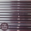 12 Graded Pencils - Draws, Tones & Shades without mess