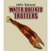 QT Dog Water Buffalo Trotter - Long-Lasting 100% Natural Single