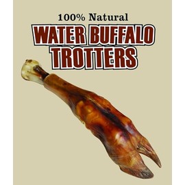 QT Dog Water Buffalo Trotter - Long-Lasting 100% Natural Single Ingredient Dog Chew - Ethically Sourced, Protein-Packed & Low Fat Bone - Ideal for Medium to Large Breeds & Aggressive Chewers