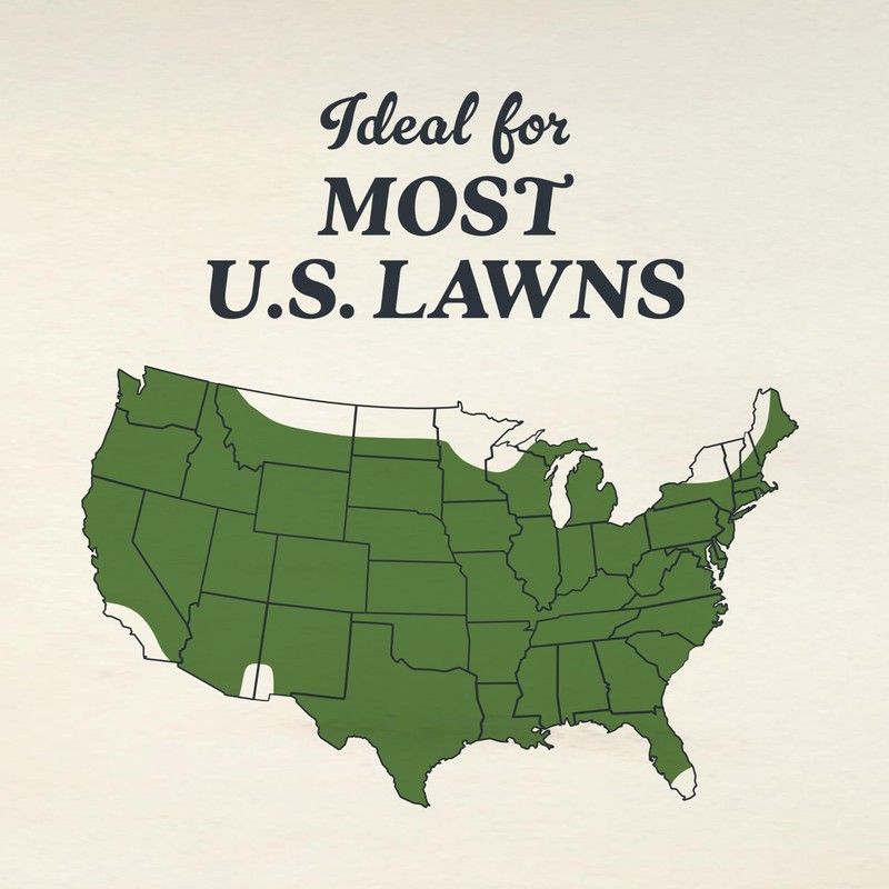 O.M. Scott and Sons Clover Seed, Lawn Seed Grows a