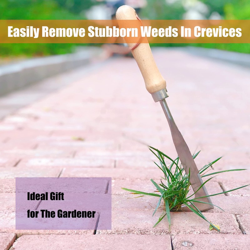 SHANFEEK Crack Weeder Hoe Gardening Tools 13-Inch Weed Remover Tool