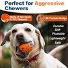 OMIPAWZ Dog Toy Ball for Aggressive Chewers, Interactive Enrichment Bouncy