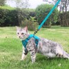 pangdi Cat Harness and Leash Set Escape Proof Tactical Medium