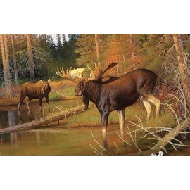 Intruder 550 Piece Puzzle