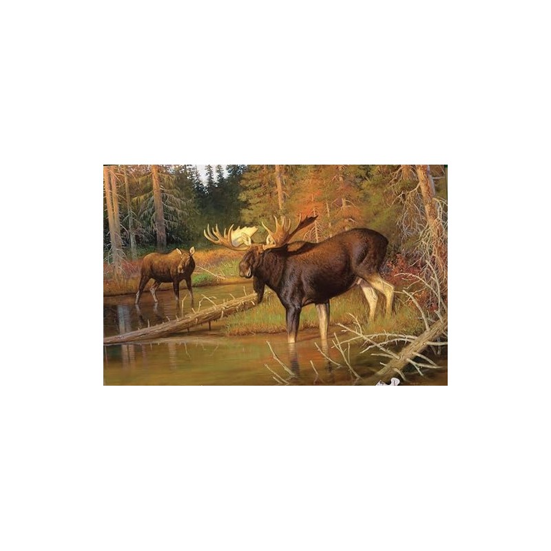 Intruder 550 Piece Puzzle