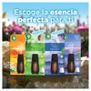 Air Wick Essential Mist Difusor + Repuesto Lavanda Relajante