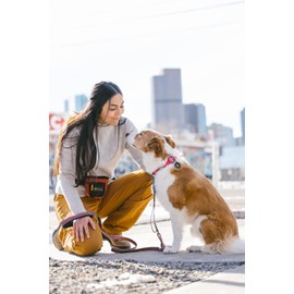 OllyDog Tilden Collar, Waterproof Dog Collar with Quick Release Buckle, Coated Stink-Proof Webbing, Lightweight Collar for Large, Medium and Small Dogs (Large, Pink)