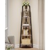 CHOEZON Corner Shelf, 5-Tier Ladder Corner Shelf, Ladder Bookshelf, 59.6"