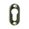 Oval Key Escutcheon Profile Cylinder Stainless Steel Matt Height 9