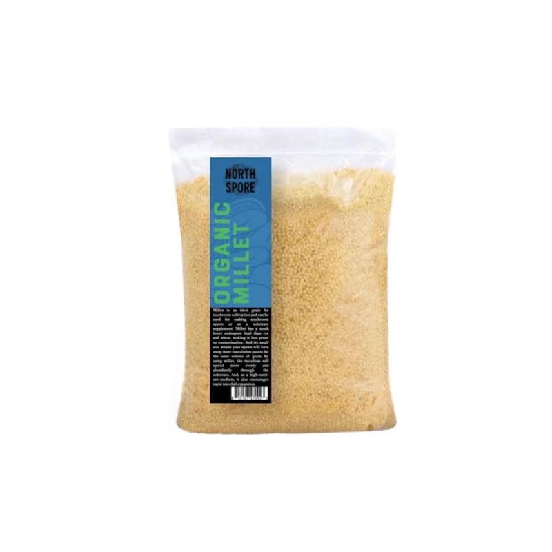 North Spore Bulk Organic Millet Grain for Mushroom Cultivation
