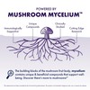 Host Defense MycoBrew Mocha - Mocha Drink Mix - Includes