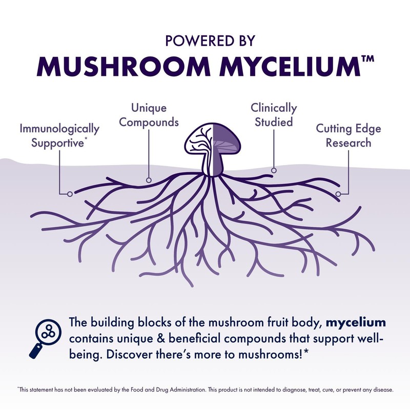 Host Defense MycoBrew Mocha - Mocha Drink Mix - Includes