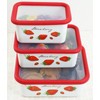 Fuji Hollow Strawberry Deep Square Container, M 0.4 gal (1.1