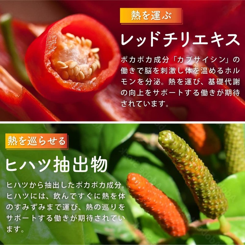 温活 サプリ ひだまりショウガ ぽかぽか成分 配合 ショウガオール レッドチリエキス ヒハツ抽出成分 (約６ヶ月分（360粒）)