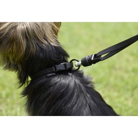 GOLEYGO Flat Dog Lead, Black, Size M 1.4-2 m, Secure Magnetic Closure, Includes Adapter Pin, Dog Lead for Small and Large Dogs up to 60 kg, Maximum Load 200 kg