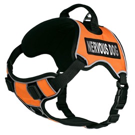 Dogline Quest No-Pull Dog Harness with Nervous Dog Reflective Removable Patches Soft Comfortable Dog Vest with Quick Release Dual Buckles Black Hardware and Handle 18 to 22 inches Orange