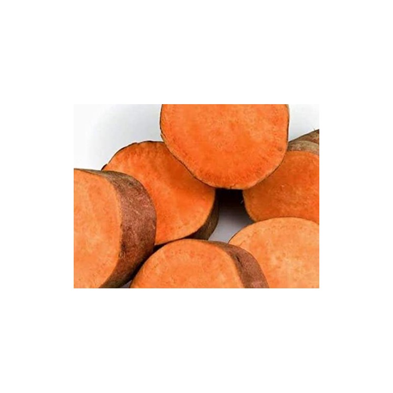 Sheló NABEL Crema de Camote Silvestre Herbal (100 ml)