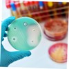 STOBOK 10 Pack Polycarbonate Autoclavable Lab Petri Dishes Culture Plates