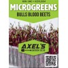Axel's Garden Seeds Bulls Blood Beet MICROGREEN Seeds | NON-GMO