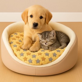 Pet Blanket for Dogs and Cats 60x40cm – Soft Fleece, Star Pattern – Washable, Warm and Cozy – Small Dog Bed Mat – Puppy Blanket for Crate, Sofa or Travel – Anti-Slip & Durable