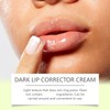 Lip Plumper,Dark Lips Cream,Hydrating and Nourishing Lips Care,Plumping Lip Gloss,Reduce