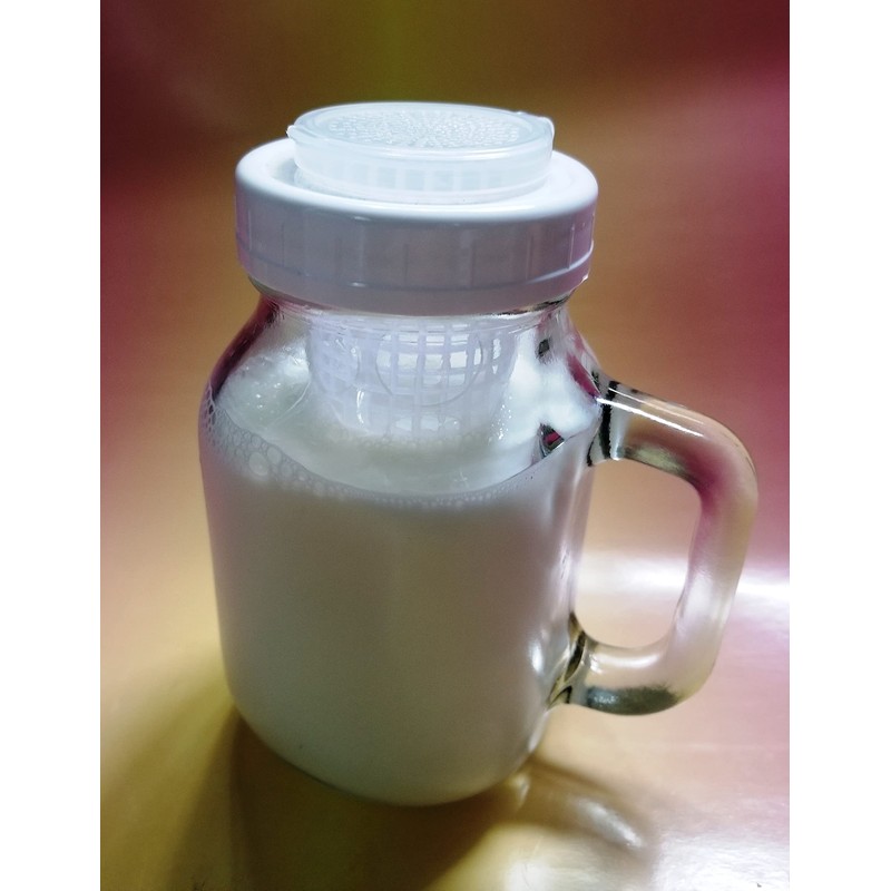Kefir Fermenter - Infuser with Handle 0.6L/20oz for homemade kefir