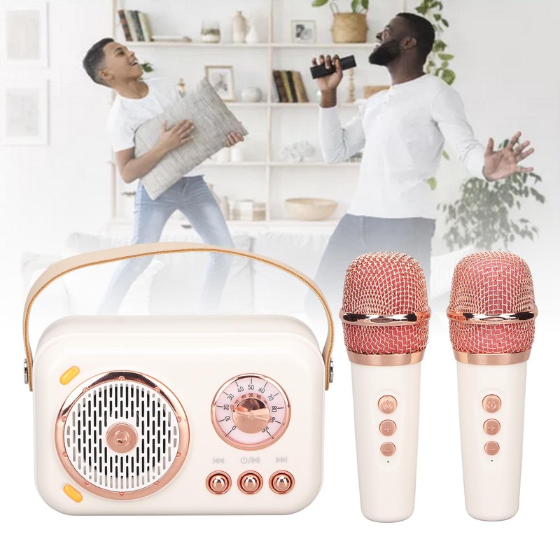 Karaoke Machine Multifunction Enhanced Bass 6 Modes Portable Bluetooth PA