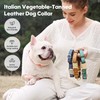 WHIPPY Vegan Leather Dog Collar No Slip Martingale Dog Collar