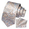 Mens ties Ties for men Paisley Tie handkerchief pocket square