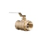 Watts LFFBV-3C-M1 Series 1" Lead-Free 2-Piece Full Port Chrome-Plated Brass