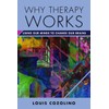 Why Therapy Works: Using Our Minds to Change Our Brains