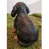 Vivid Arts - Pet Pals Black/Brown Dachshund Puppy Home or