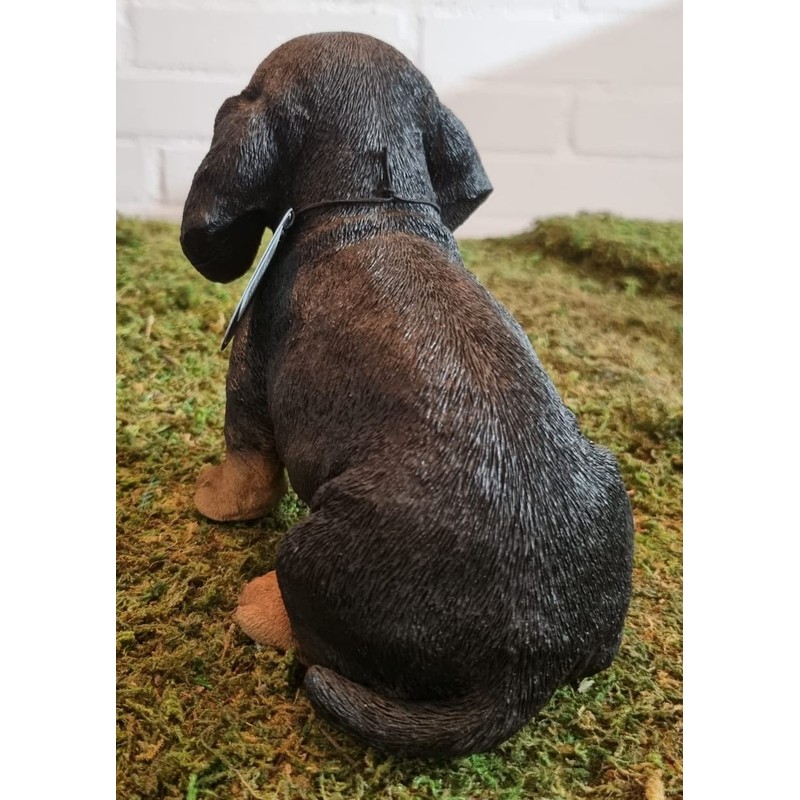 Vivid Arts - Pet Pals Black/Brown Dachshund Puppy Home or