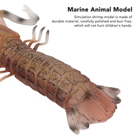 Marine Animal Model, Mantis Shrimp Model Solid Vivid Simulation Shrimp Model for Children Toy Education Model Kids Toys